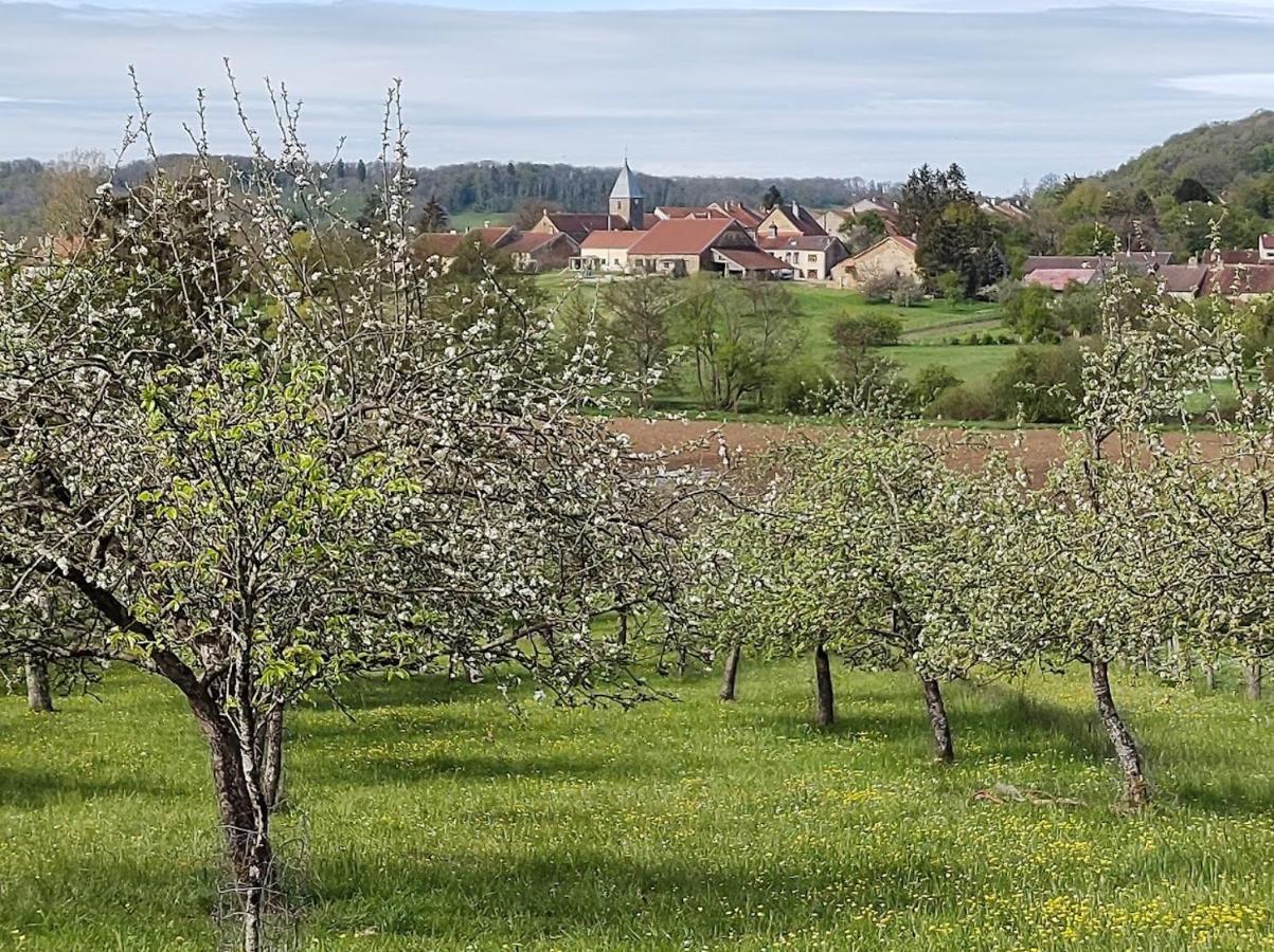 Chateau D'Impasse Laferte-sur-Amance Bagian luar foto