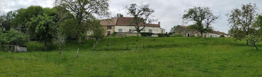 Chateau D'Impasse Laferte-sur-Amance Bagian luar foto